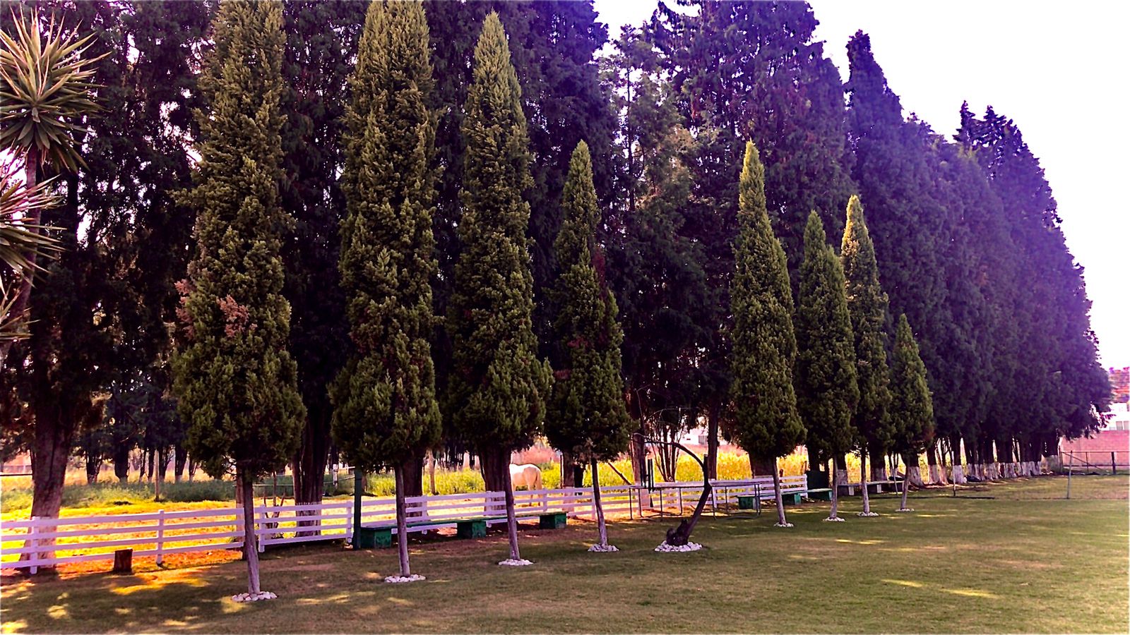 San Antonio Reuniones - Bodas Destino en Zerezotla